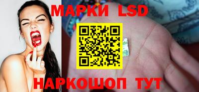 гидропоника Пушкино