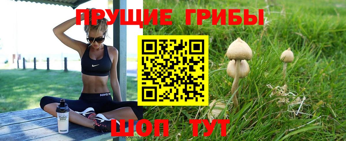 Псилоцибиновые грибы Cubensis  Вход с VPN  Саки 