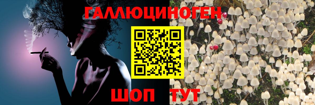 Псилоцибиновые грибы Psilocybe Саки